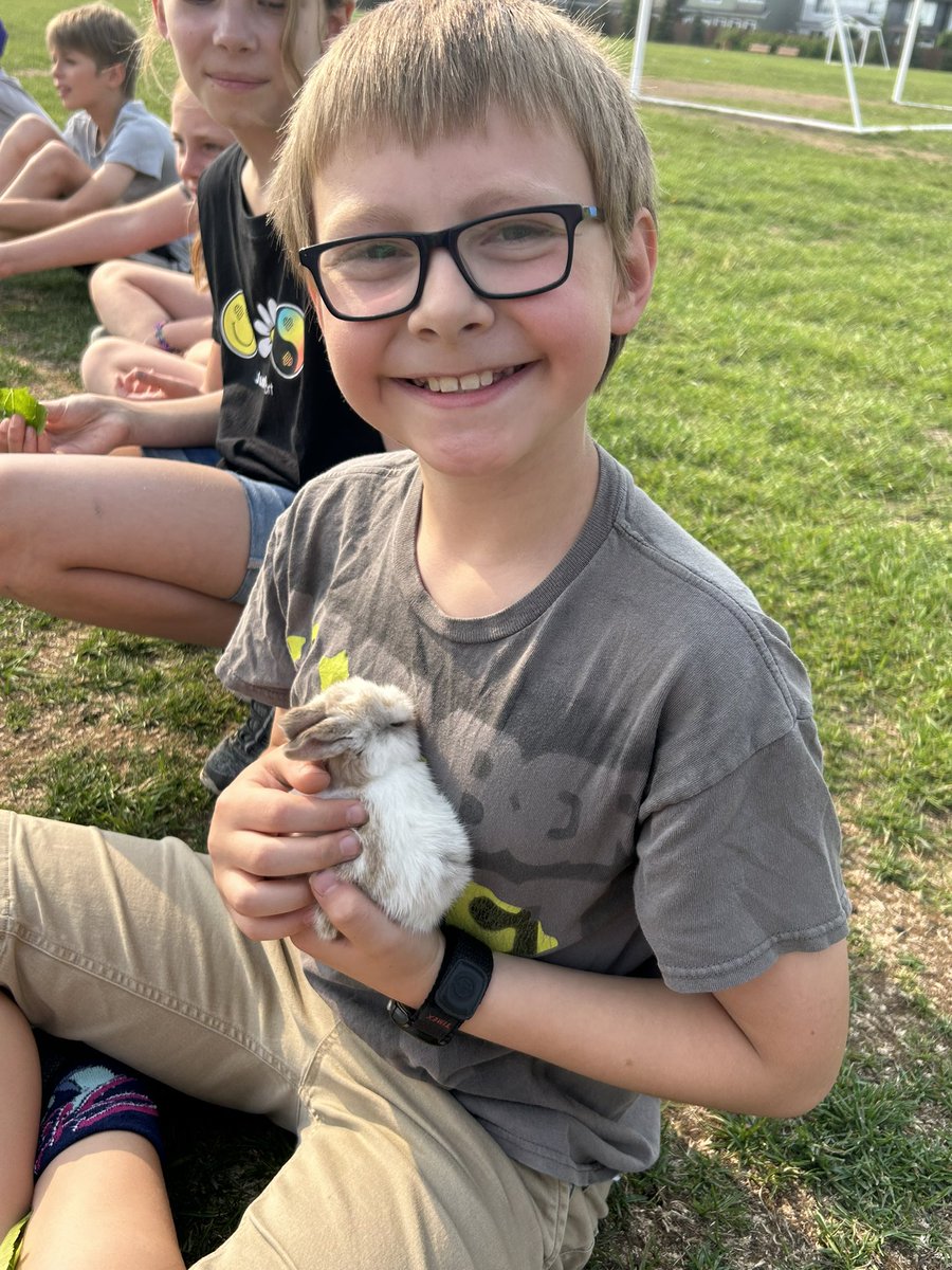 JMDemko School tweet media