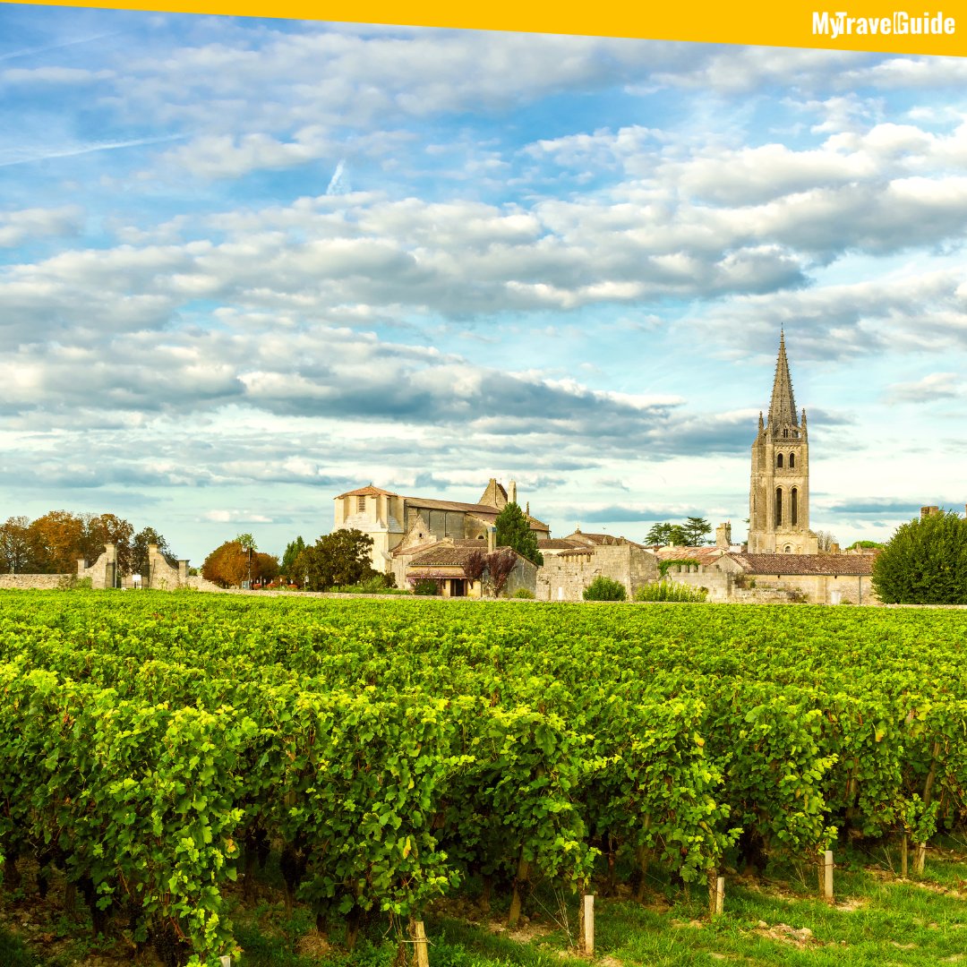 Bordeaux is widely known as one of the world's most famous wine regions. 🍷

For more travel tips, click here: mytravelguide.co

#france #winecountry #bordeauxwines #visitfrance #frenchculture #vineyards #frenchwine #winetasting #discoverfrance #mytravelguide #travel