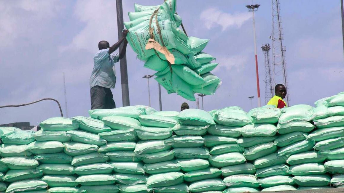 Kenya is now relying heavily on expensive sugar imports from neighbouring Uganda after India imposed export restrictions on the sweetener, in what is set to sustain higher consumer prices.
bit.ly/3JvHbRK