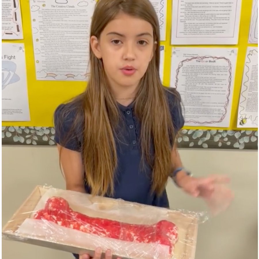 St. Luke's fifth graders discover their passions through an in-depth research project. Read more and watch the presentations: stlukesct.org/news-detail?pk… #stlukect