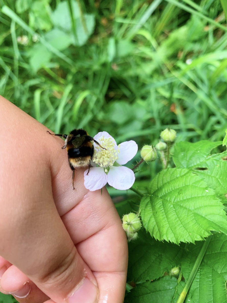 Lee Wood tweet media