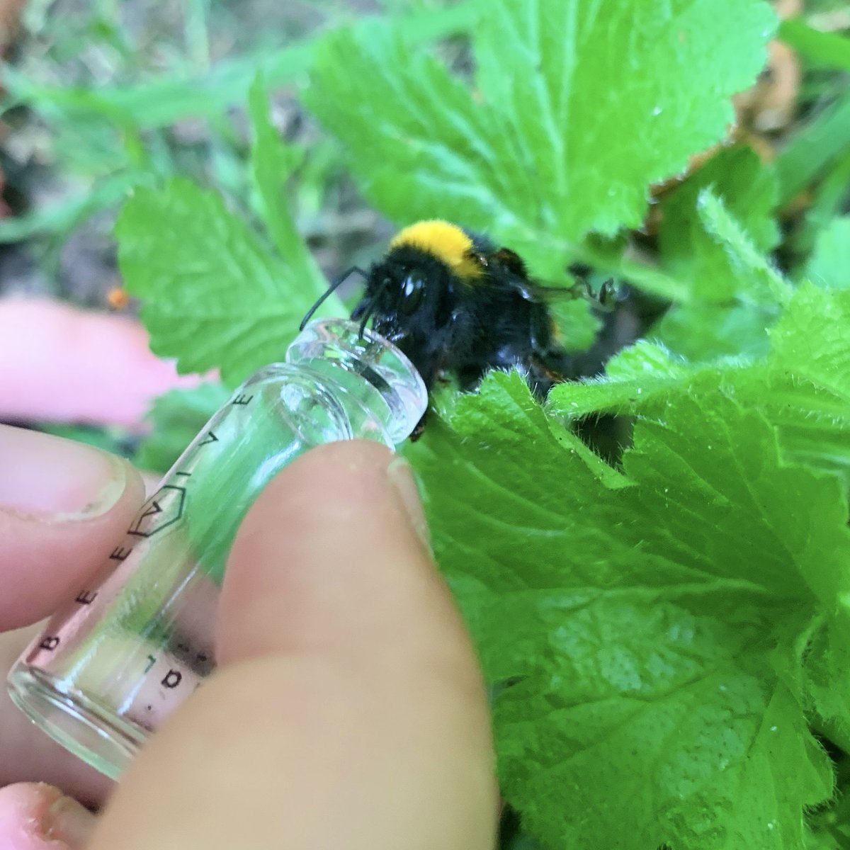 Lee Wood tweet media