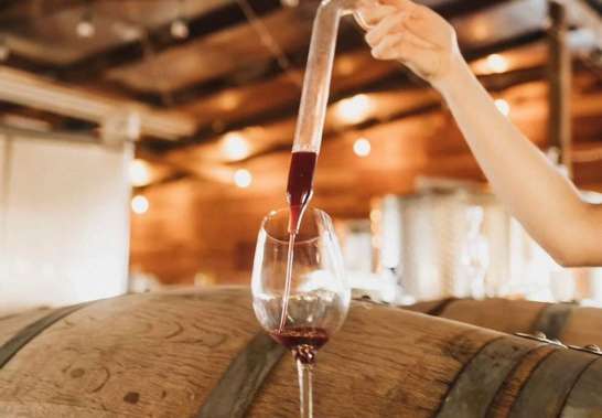 gofresnocounty's tweet photo. Wine down this 4th of July by visiting some of the best wineries in Fresno County! 🍷🎆😍
Full details: https://t.co/8Fi4RSMrgn https://t.co/0QCEOWJD2d