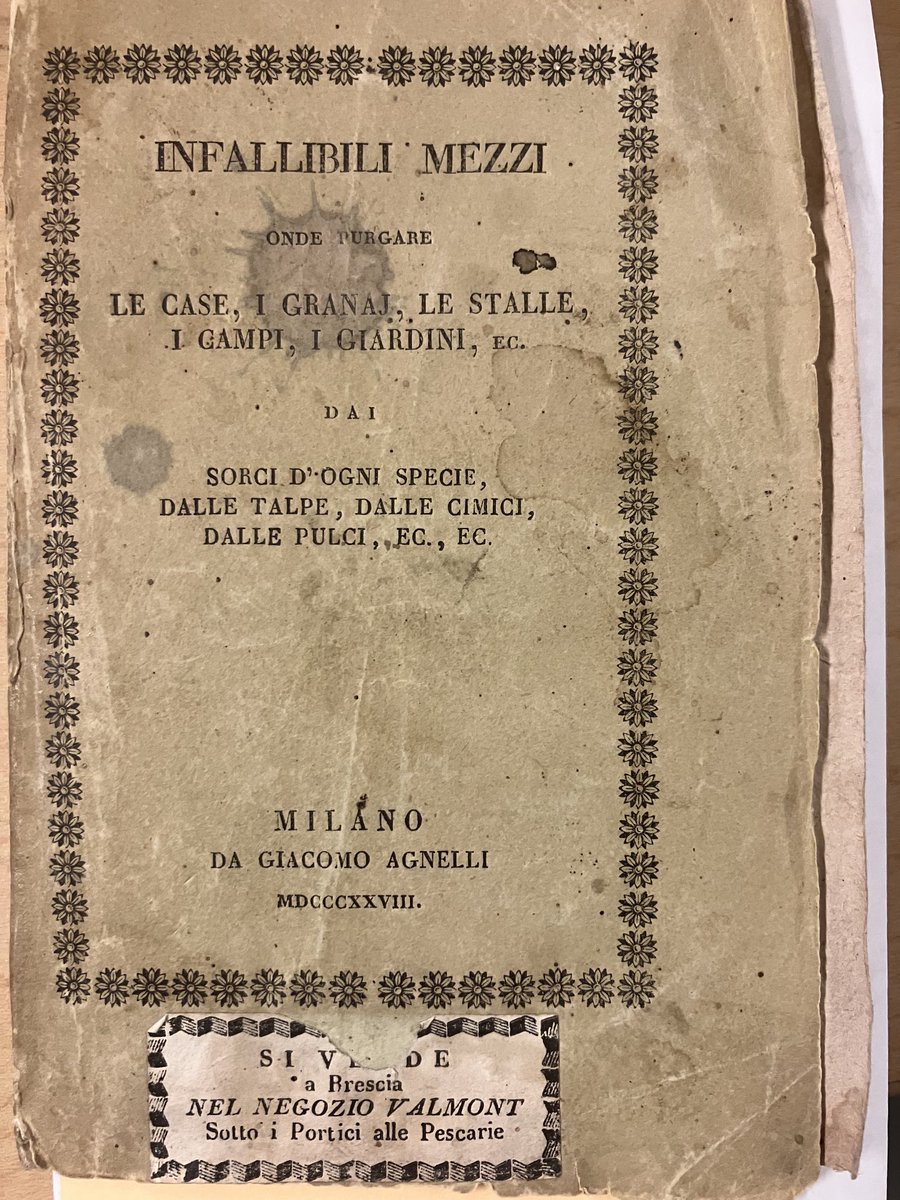 2 new bug books 📚