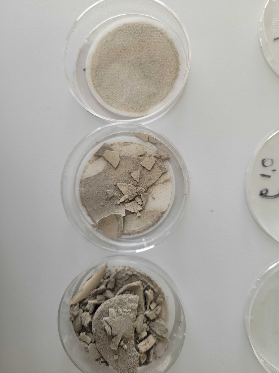 sol_on_ice's tweet photo. In August we will do some experiments with glacial dust in Greeland. We ordered some glacial stilt from Ebay, and tested how much dust we could catch on 3um filters. We retrieved 97.8%! August will show if Ebay-dust is similar to what we find in Greenland rivers..@johnna_holding https://t.co/hOOkjIW0am