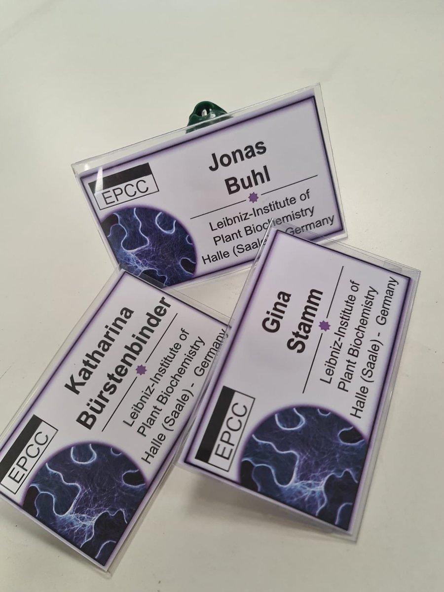 K_Bürstenbinder (@kbuerstenbinder) on Twitter photo Final preparations for #EPCC2023.
We are ready and set to host a great and truly international crowd of #plant #cytoskeleton enthusiasts. Can‘t wait to welcome you <a href="/IPB_Halle/">Leibniz Institute of Plant Biochemistry Halle</a> for two days of #science, fun and #networking. Final preparations for #EPCC2023.
We are ready and set to host a great and truly international crowd of #plant #cytoskeleton enthusiasts. Can‘t wait to welcome you <a href="/IPB_Halle/">Leibniz Institute of Plant Biochemistry Halle</a> for two days of #science, fun and #networking.