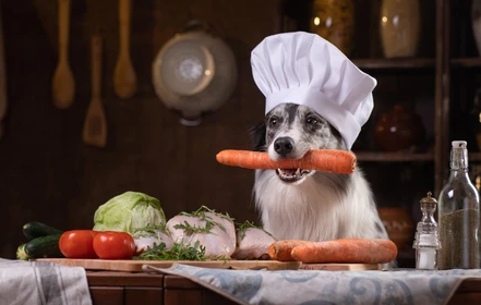 Vierapetworks's tweet photo. Traditional store-bought pet foods you're feeding your furry friends may contain harmful ingredients that can lead to serious health issues? Read this article from Viera Petworks on how better food choices can support your pet's health.  

#pets #brevardcounty #melbourneflorida https://t.co/wXTSnhTvzK