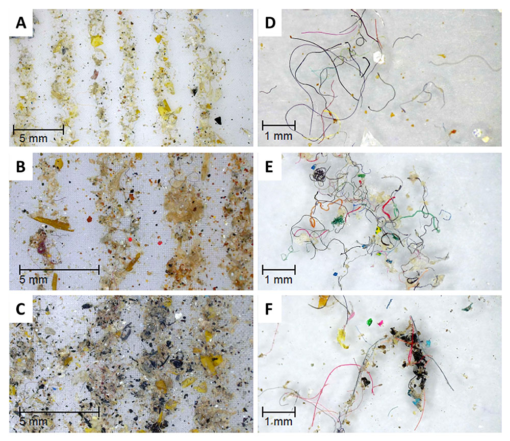 Journal of Environmental Quality (@jenvironqual) on Twitter photo New article alert! How many #microplastic particles are present in Canadian biosolids? #OpenAccess study by Sivarajah & colleagues doi.org/10.1002/jeq2.2…
<a href="/CarletonDGES/">DGES</a> <a href="/AAFC_Canada/">AAFC Canada</a> <a href="/environmentca/">Environment Canada</a> <a href="/cu_research/">Carleton University Research</a> New article alert! How many #microplastic particles are present in Canadian biosolids? #OpenAccess study by Sivarajah & colleagues doi.org/10.1002/jeq2.2…
<a href="/CarletonDGES/">DGES</a> <a href="/AAFC_Canada/">AAFC Canada</a> <a href="/environmentca/">Environment Canada</a> <a href="/cu_research/">Carleton University Research</a>