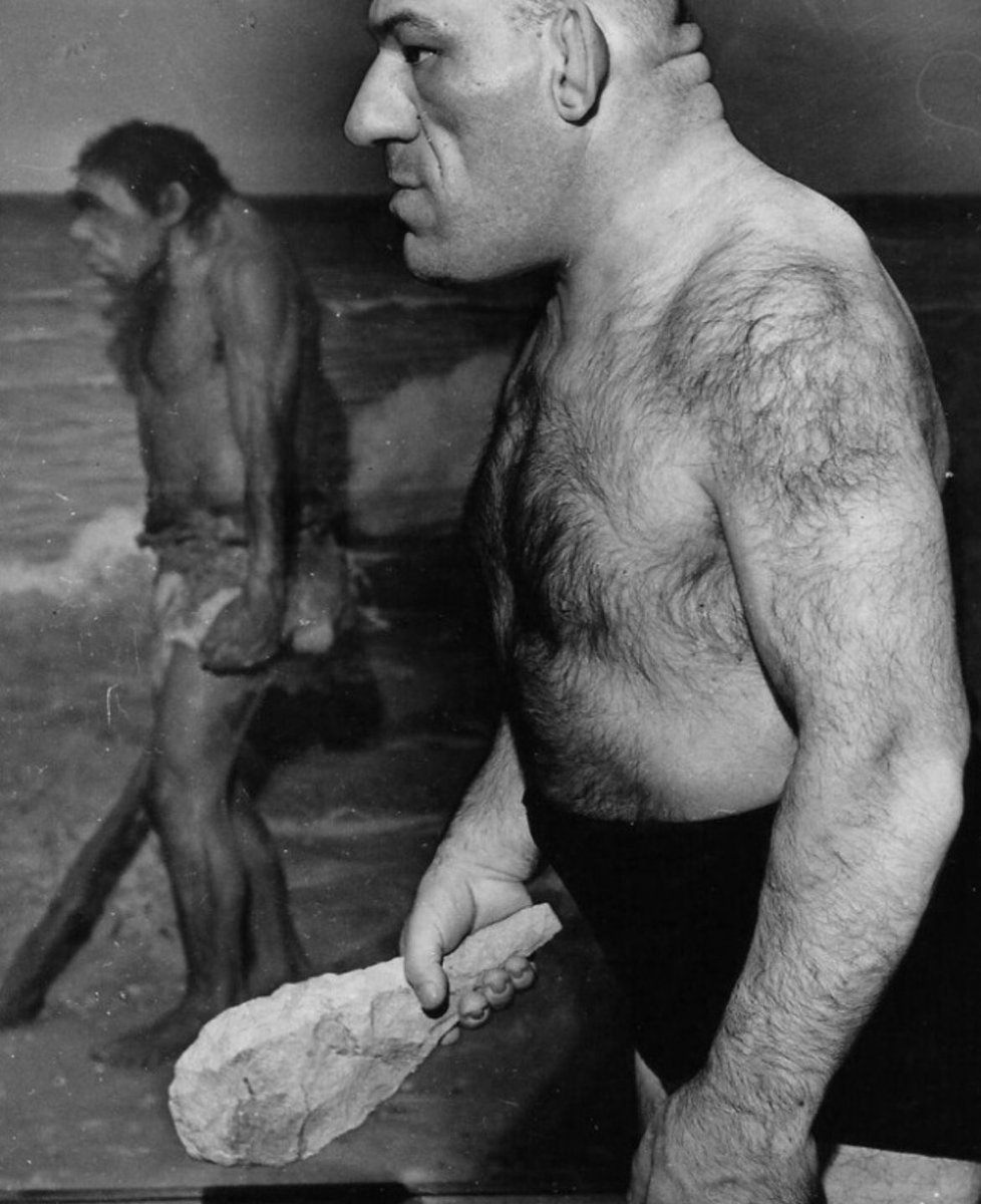 historyinmemes's tweet photo. Maurice Tillet, the man who was the rumored inspiration behind the animated character Shrek, was a Russian-born French professional wrestler. He was better known by his ring name, The French Angel, and was a leading box office draw in the early 1940s. Tillet was twice the World Heavyweight Champion in the American Wrestling Association, which was run by Paul Bowser in Boston.

At the age of 17, Tillet noticed that his face and hands were growing out of proportion with the rest of his body. By the time he was 19, he had been diagnosed with Acromegaly. This diagnosis in 1922 must have dramatically changed his perspective on the world.

The term "acromegaly" was first established by Pierre Marie in 1886, along with a clear clinical diagnosis and descriptions based on two patients with the characteristic presentation. Autopsy findings consistently revealed a correlation between acromegaly and pituitary enlargement. Acromegaly is most often caused by a benign or non-cancerous tumor on the pituitary gland but can also be caused by tumors in other parts of the body that affect the growth hormone.

Despite the physical difficulties he faced, Tillet continued to pursue his dreams as a lawyer and actor. It was said that he could speak 14 languages. In the 1940s, Tillet rose to fame after moving to America and taking an interest in professional wrestling, which eventually led to a successful acting career.

Early articles mention that Maurice had dated and had girlfriends. However, his attitude towards dating and women underwent a radical shift in the 1940s. An article from the Bakersfield Californian on July 17, 1941, quoted him as saying, "He would like to marry some rich pretty girl, settle down to a life of ease and travel. So he said last night, through an Interpreter. He's a bit choosy about the girl, as she would be undoubtedly if she picked him." In contrast, an article from the Evening Independent on May 10, 1947, described him as unmarried and stating that girls would only want to marry him "for his money."

Maurice Tillet passed away on September 4, 1954, in Chicago, Illinois. He suffered a heart attack upon hearing the news of his friend and former trainer Karl Pojello's death.