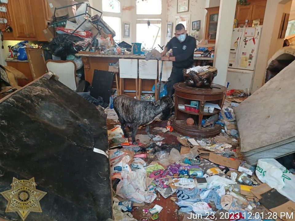 Woman says she escaped being held captive by husband, investigators found decomposing dog in closet dlvr.it/SrK1Y9