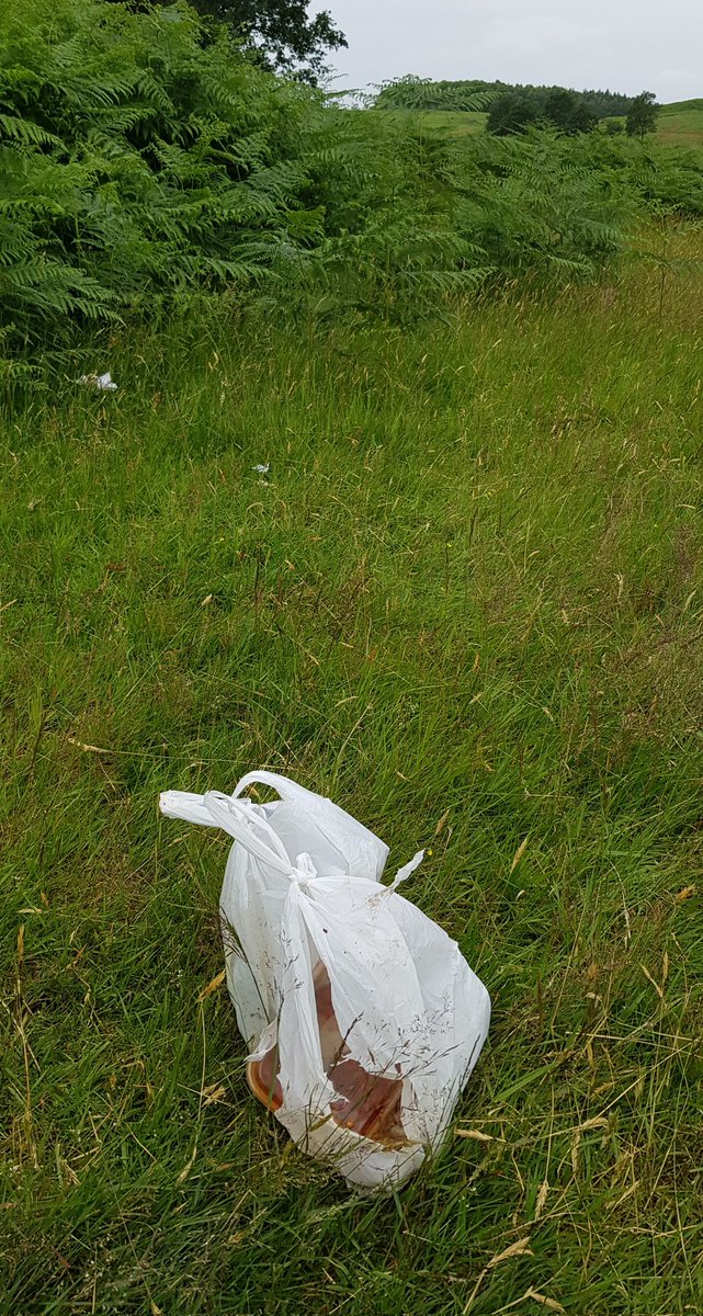 BBullrushes's tweet photo. Trip out to @BradgatePark today. Such a lovely place & such a shame visitors leave their #litter behind. Cleared up takeaway, binned a frisbee & bits of #plastic along the way while watching the swifts soar above. #LeaveNoTrace @LitterReporting @KeepBritainTidy #respectingnature https://t.co/uiEPz3i9Ls