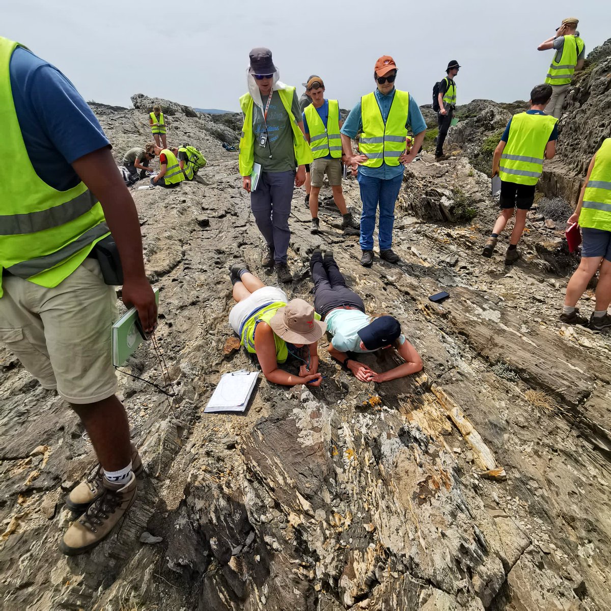 ajk_talcsrocks's tweet photo. Get down with the get down 😂👍🏻😏!
Looking for that #shear #sense from the correct orientation relative to #foliation and #lineation 😉 students were very confused at first why I was laying on the ground… then one joined me to find out why 😂
@UUEarthSciences
📸: @nanoOlli https://t.co/nDQAL6Qt5e