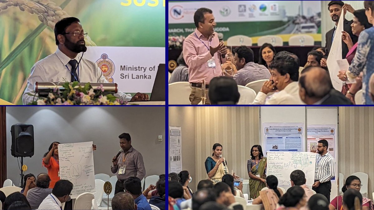 GCRF South Asian Nitrogen Hub (@gcrfnitrogenhub) on Twitter photo Congratulations to our Sri Lankan partners <a href="/UPeradeniya/">PeradeniyaUniversity</a> for hosting an amazing #stakeholder event in Colombo on Sustainable #Nitrogen!
Special shout out to <a href="/Msecobabble/">Keesje (Crawford) Avis</a> and Dr Annie Yang for travelling to lead and run the workshop! Congratulations to our Sri Lankan partners <a href="/UPeradeniya/">PeradeniyaUniversity</a> for hosting an amazing #stakeholder event in Colombo on Sustainable #Nitrogen!
Special shout out to <a href="/Msecobabble/">Keesje (Crawford) Avis</a> and Dr Annie Yang for travelling to lead and run the workshop!