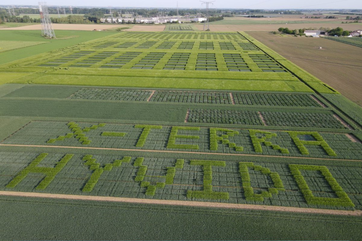 Nos expérimentateurs <a href="/SyngentaFrance/">SyngentaFrance</a> ont du talent et sont créatifs