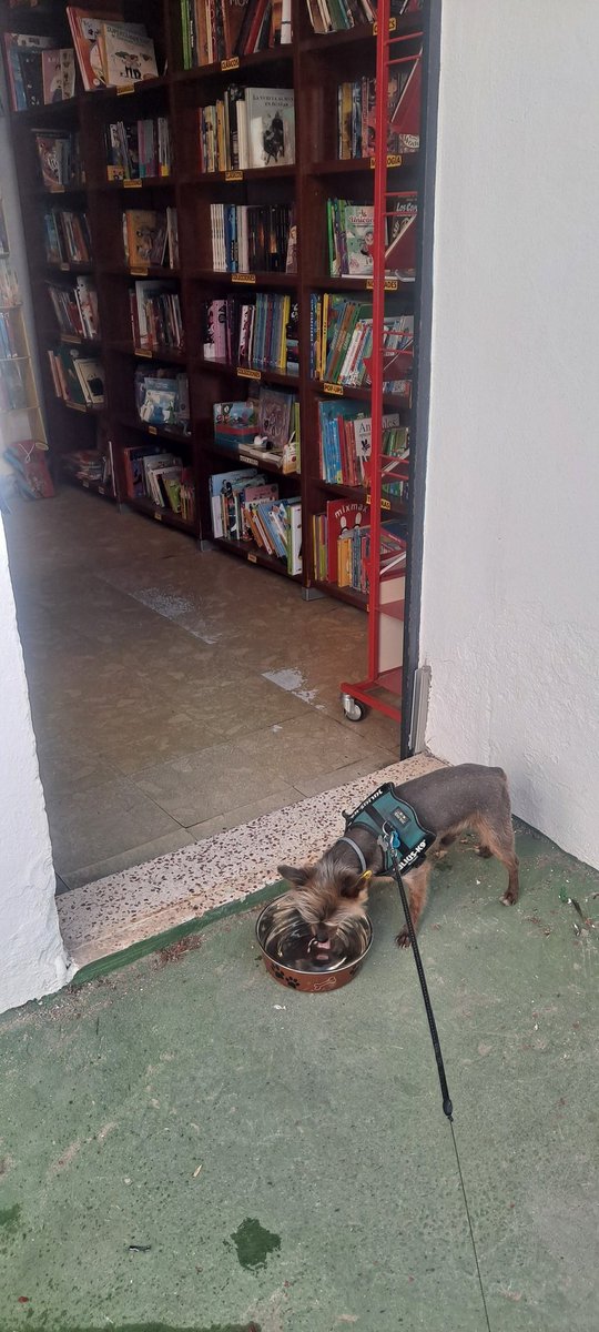 Que el calor no sea una excusa para venir a por tus libros.
Tenemos aire acondicionado en la tienda y si vienes con tu peludito tendrá agua fresquita.