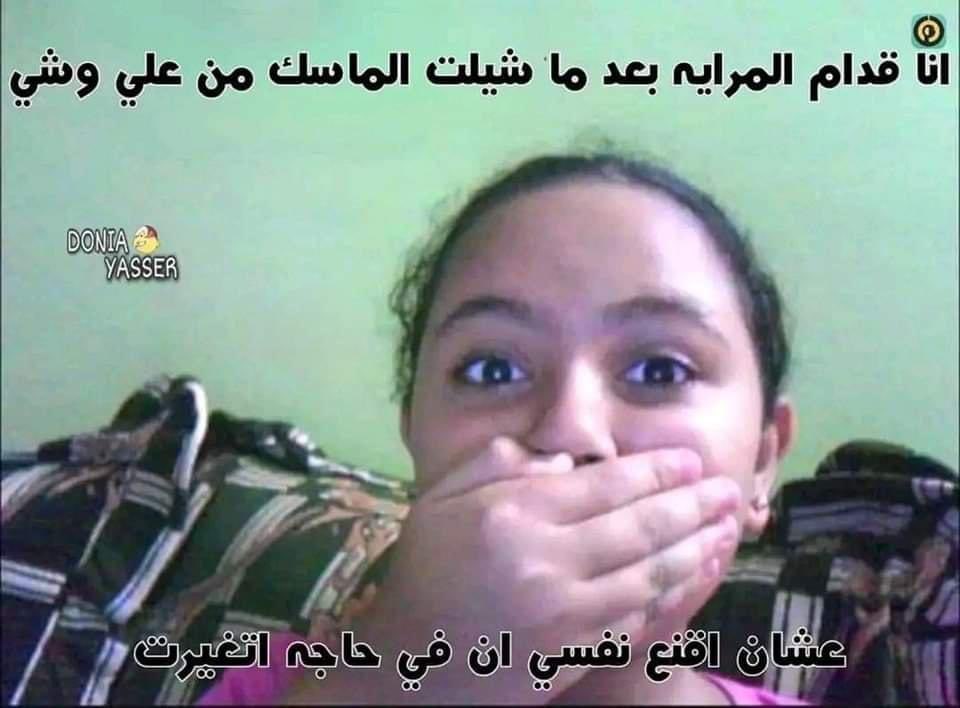 ميمزاوي باشا tweet media