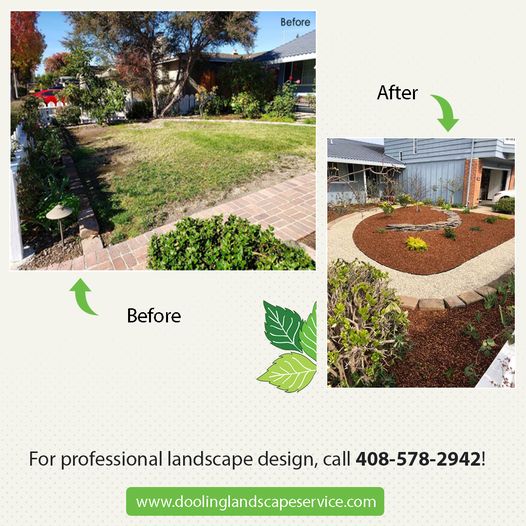 For professional landscape design, call 408.578.2942!
.
.
.
#landscape #landscapedesign #shrubs #landscapes #landscapestyles #hardscapes #lawnservice #lawns #lawnporn #lawngoals #usenaturaloxygen #cleanyourairwithplants #landscaping101 #bestlandscapersintown #landscapingthatworks