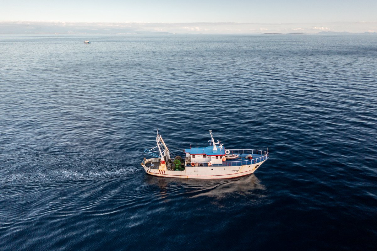 Environmental Justice Foundation (@ejfoundation) on Twitter photo If <a href="/Europarl_EN/">European Parliament</a> approves this new regulation, it can help #restore a healthy, biodiverse ocean.
But this landmark 🎣 law is only as strong as its implementation by 🇪🇺 Member States.
This will be key for the 🇪🇺 to credibly promote transparent, legal and sustainable 🎣 worldwide. If <a href="/Europarl_EN/">European Parliament</a> approves this new regulation, it can help #restore a healthy, biodiverse ocean.
But this landmark 🎣 law is only as strong as its implementation by 🇪🇺 Member States.
This will be key for the 🇪🇺 to credibly promote transparent, legal and sustainable 🎣 worldwide.