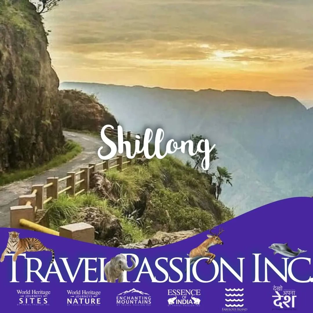 SF_Passion's tweet photo. Chill in #Meghalaya #Shillong #Cherrapunjee #incredibleindia
Plan your travel with Travel Passion Inc.
DM your queries.
#cheranpunjidiaries
#shillongdiaries #tours #family #travelagent #touroperator #touring #Holidays #vacation #grouptours #travelplanner #holidayplanner #vacay https://t.co/hypcf7Mcws