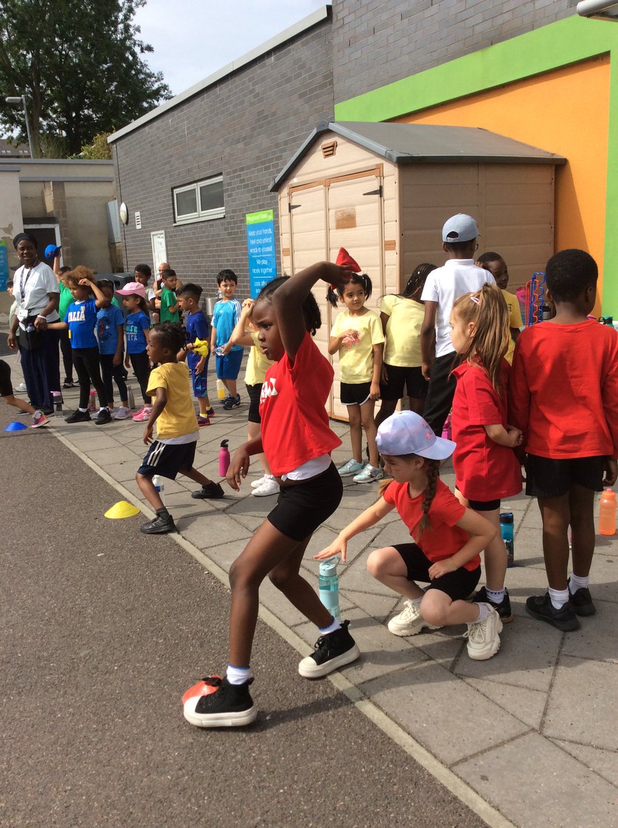 Foxfield Year 1 Juniper tweet media