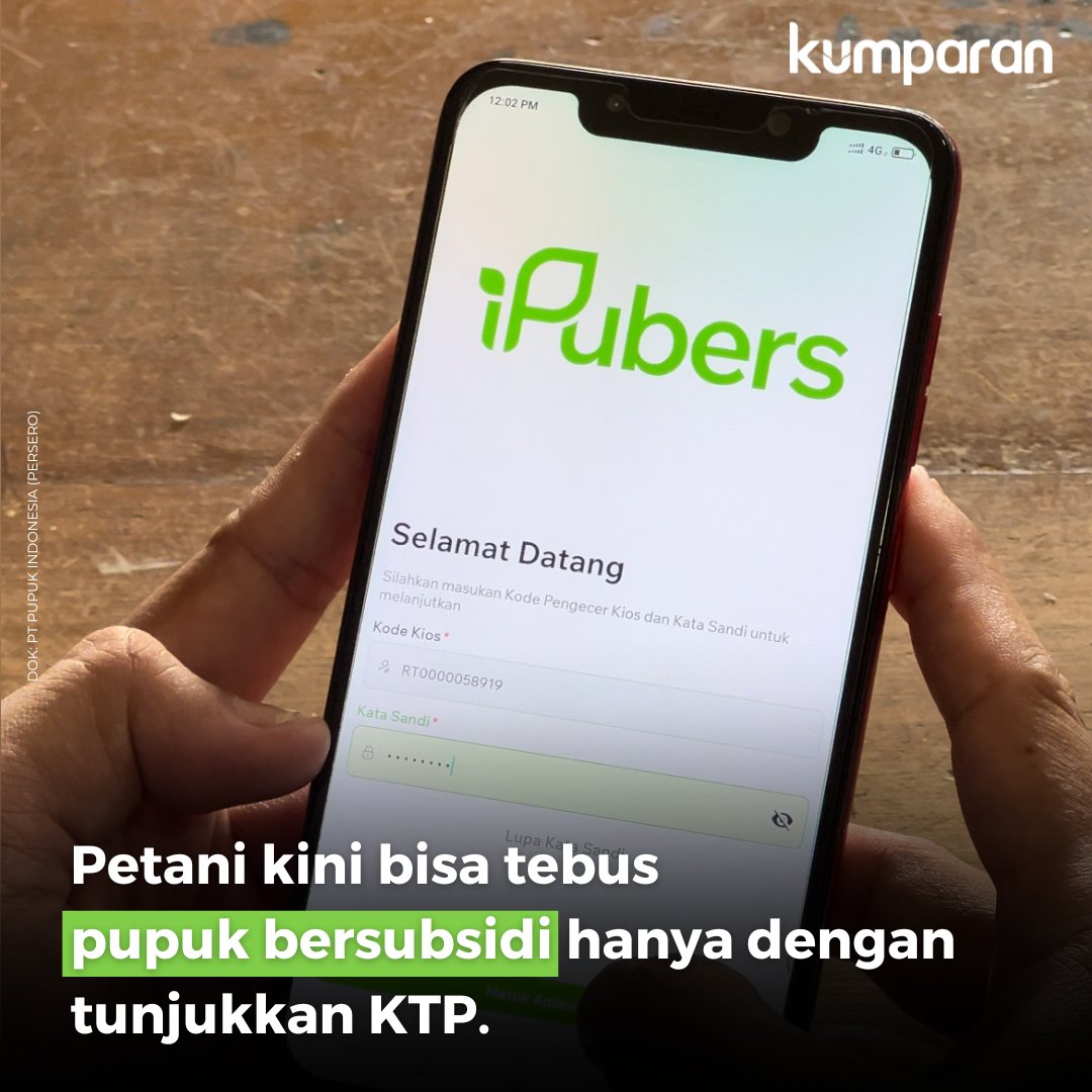 kumparan's tweet photo. PT Pupuk Indonesia melakukan digitalisasi proses penebusan pupuk bersubsidi, sesuai dengan arahan Presiden Joko Widodo. Kini, petani Babel, Riau, dan Kalsel bisa tebus pupuk hanya dengan tunjukkan KTP di kios resmi. #iPubers
#MudahTebusnyaTepatSasarannya
#PupukSubsidi #kstudio https://t.co/dUEtcPq2fn