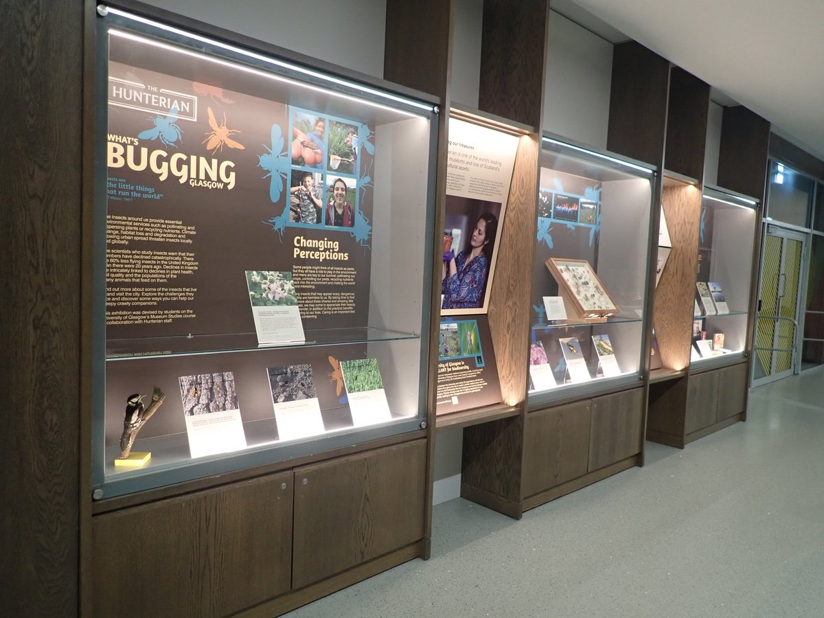 weebeastie75's tweet photo. I have been messing around with photographic backgrounds to show off some of our #entomologycollection for @hunterian 'What's Bugging Glasgow' display @KelvinHall16 and am pleased with the results. Cheerful and less text required to describe habitat preferences. https://t.co/5Vu17sgrnB