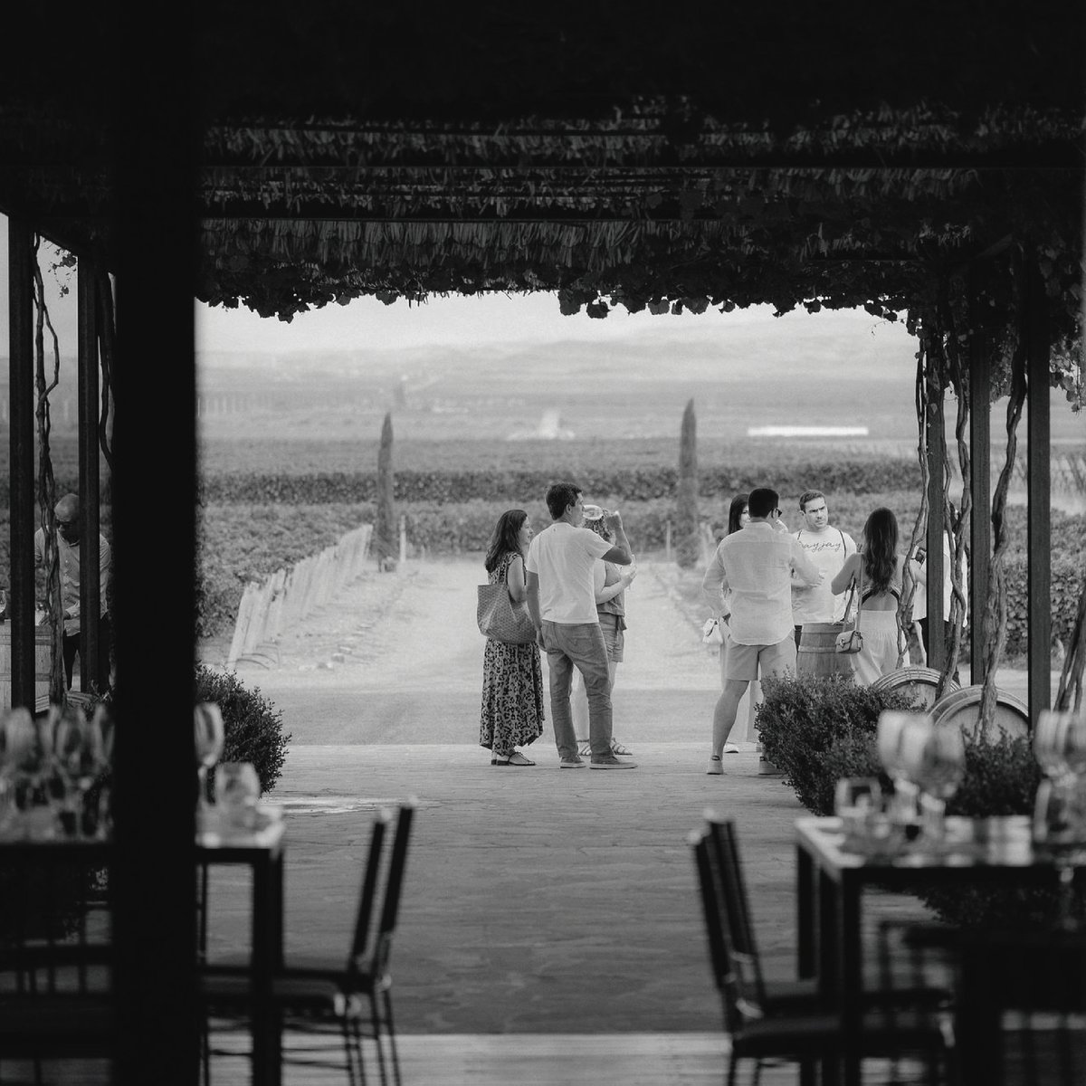 Lo invitamos a descubrir Pulenta Estate, en el extraordinario entorno de la cordillera de Los Andes a 980 mts de altura. En su visita, disfrutará de nuestros vinos, recorrerá la bodega, conociendo los métodos de vinificación y la historia de nuestra familia.