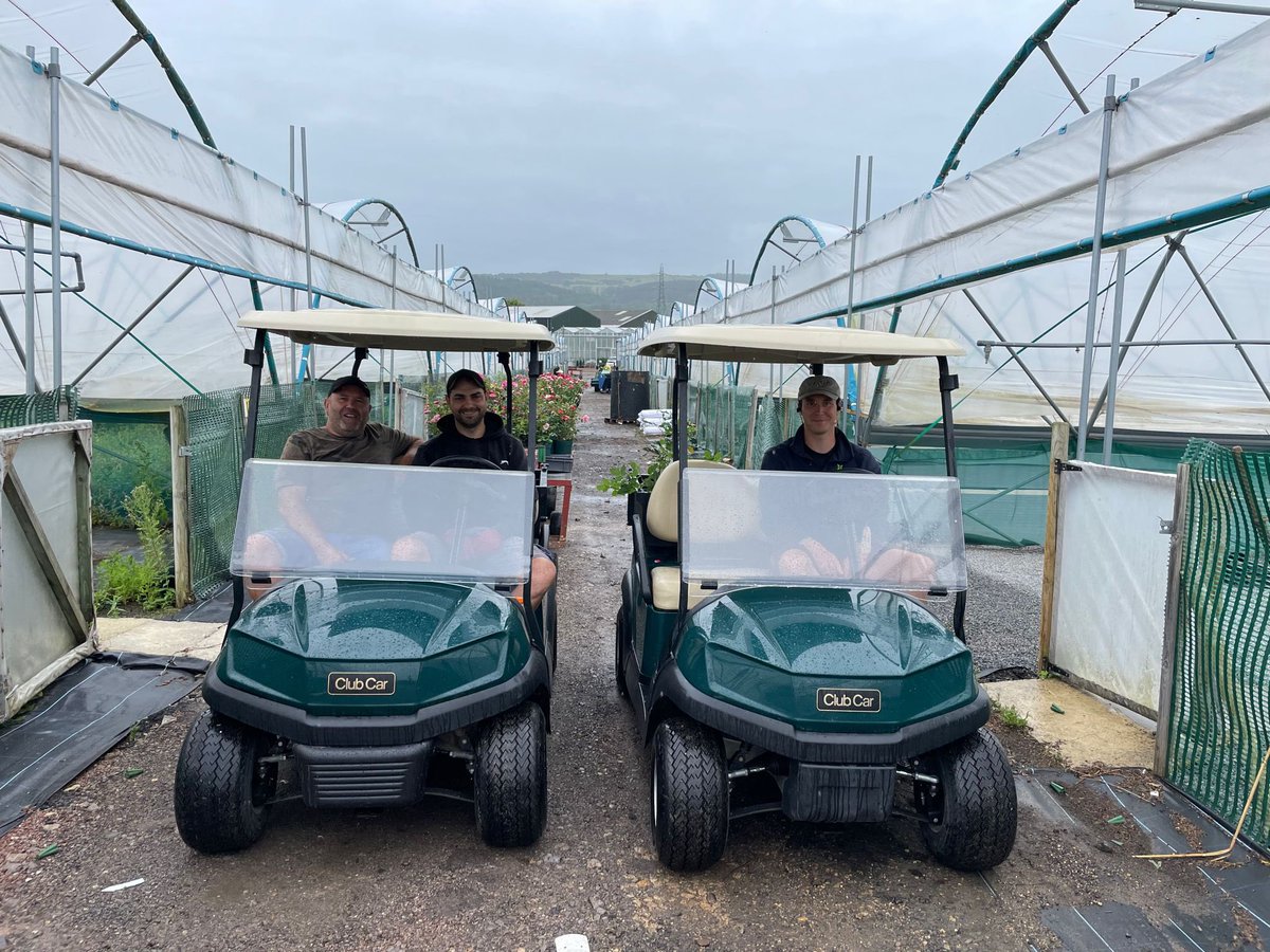 New Leaf Plants tweet media