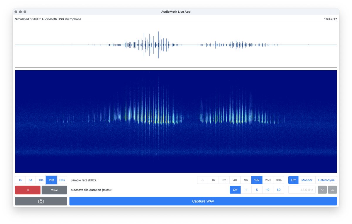 We've just released the AudioMoth Live App for Windows, Mac, and Linux! Use any USB microphone to make continuous recordings, monitor the audio input, or apply a heterodyne bat detector to the input. It also supports sample rates up to 384 kHz. openacousticdevices.info/live