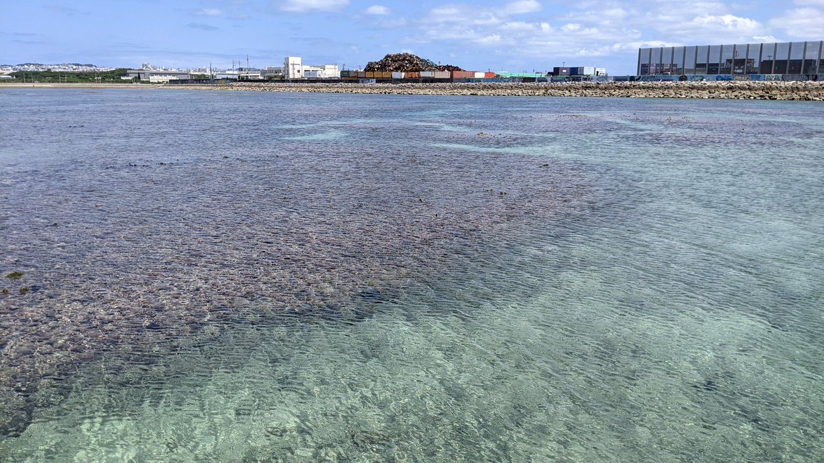 パルコ前の軍港移設ばかり取りざたされているけど、“浦添ふ頭”なんて、どんだけ稼働するかも分からん民港のために、この西洲側の海も埋め立てようとしてんだよ、沖縄県は…。アタマ沸いてんのか？って、思わね？┐⁠(⁠‘⁠～⁠`⁠;⁠)⁠┌　#浦添西海岸埋め立て反対