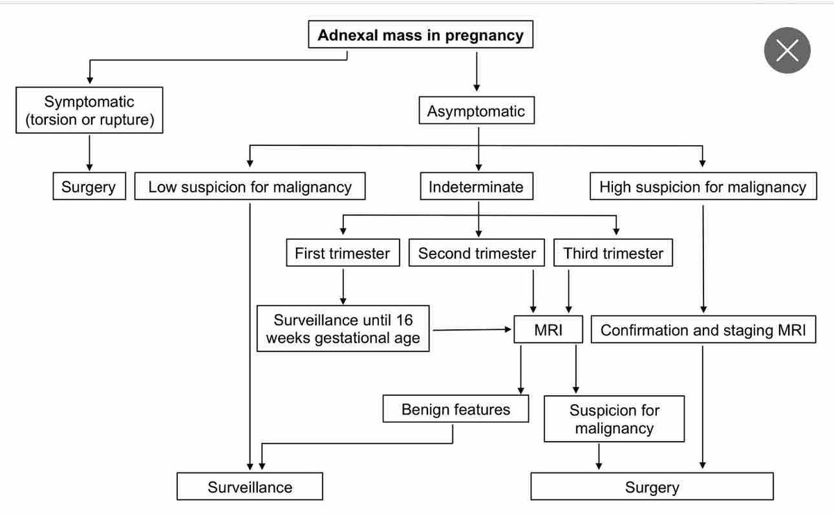 AJOG_thegray's tweet photo. AJOG Expert Review:  Adnexal masses during pregnancy: diagnosis, treatment, and prognosis - Management of the adnexal mass during pregnancy https://t.co/tkF616ILoK https://t.co/73qiKQU7IL