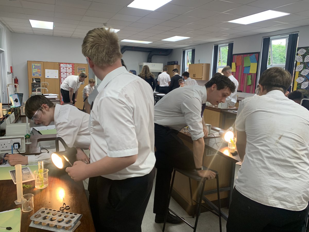 Boston Grammar (@bostongrammar) on Twitter photo Y10 have been engaging with some practical #Biology this morning - you can't beat a #photosynthesis practical that involves counting bubbles to ensure some concentration #care #achievement #respect #excellence <a href="/SCIENCE_BGS/">Science BGS</a> Y10 have been engaging with some practical #Biology this morning - you can't beat a #photosynthesis practical that involves counting bubbles to ensure some concentration #care #achievement #respect #excellence <a href="/SCIENCE_BGS/">Science BGS</a>
