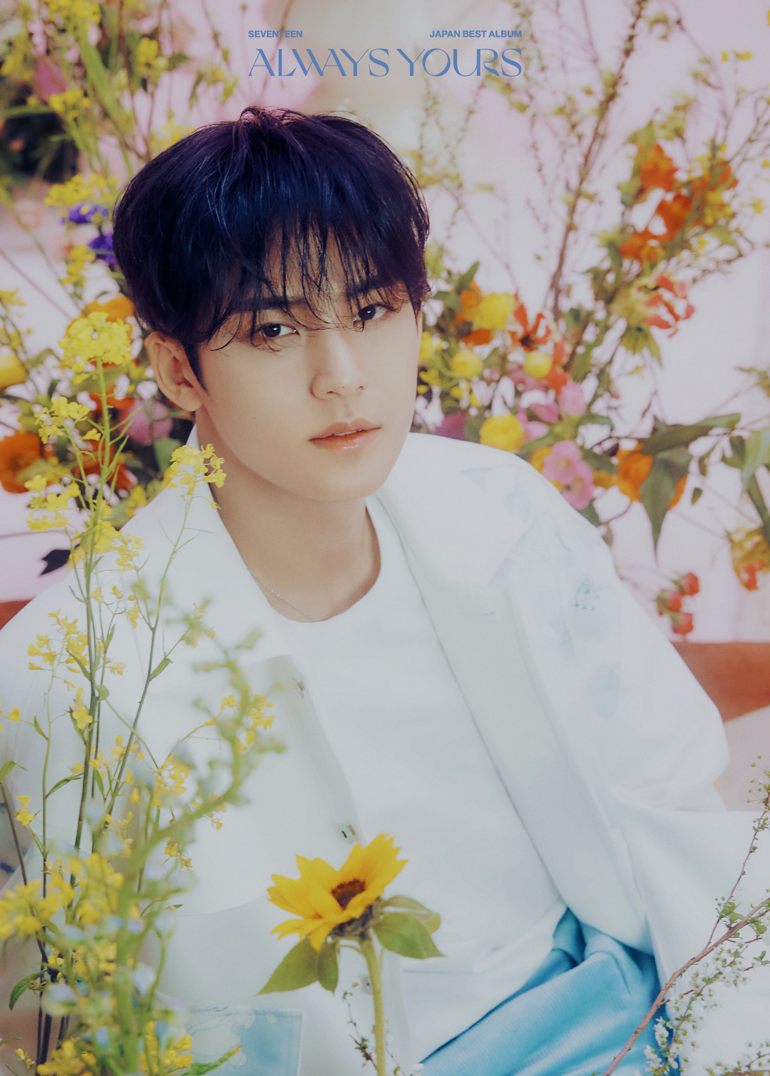 SEVENTEEN Japan on X: 