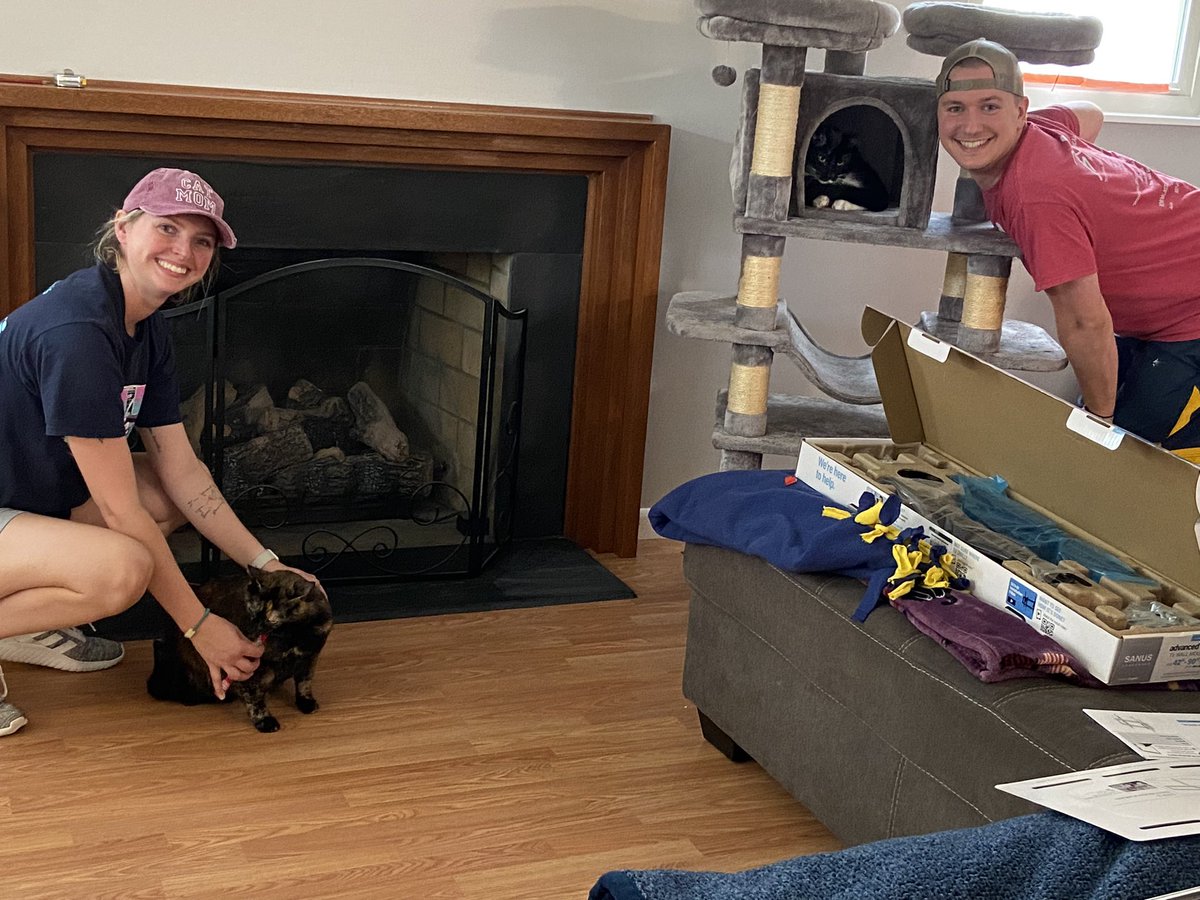 We moved into our house officially! Our first family photo involved Figment  being bribed with treats and Kronk refusing to leave his tower. Life is so good 🥰 #homeowners