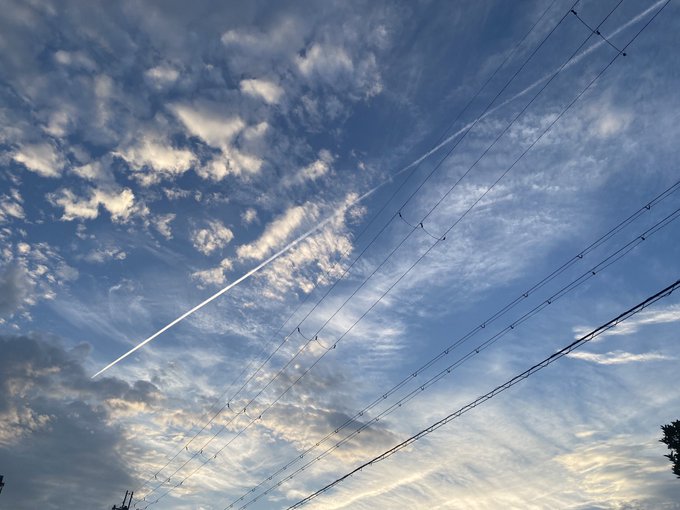 「飛行機雲 空」のTwitter画像/イラスト(新着)｜3ページ目