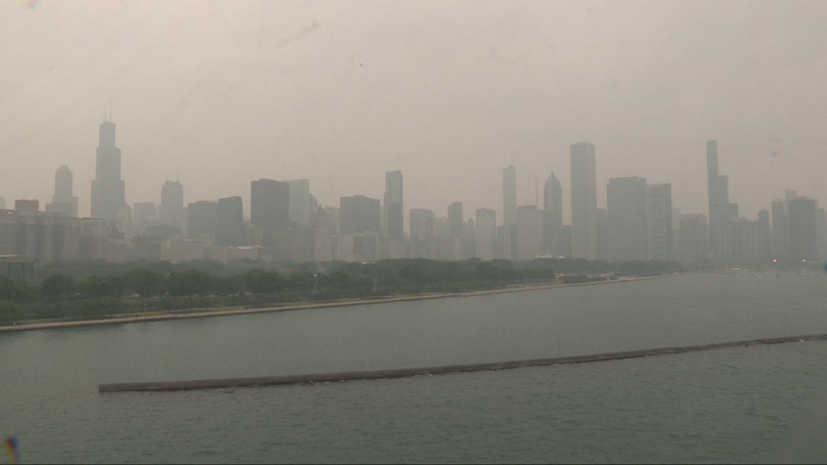 Tracy Butler tweet media