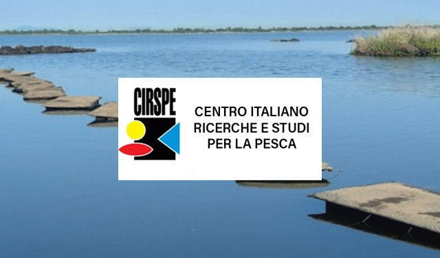 pesceinrete's tweet photo. Il #CIRSPE coinvolto in progetto per la realizzazione di nuovi impianti di #allevamento di #ostriche o di potenziamento di quelli già esistenti
https://t.co/EuViVZ7dwz @FerrariGilberto https://t.co/gLYnSFFiP9