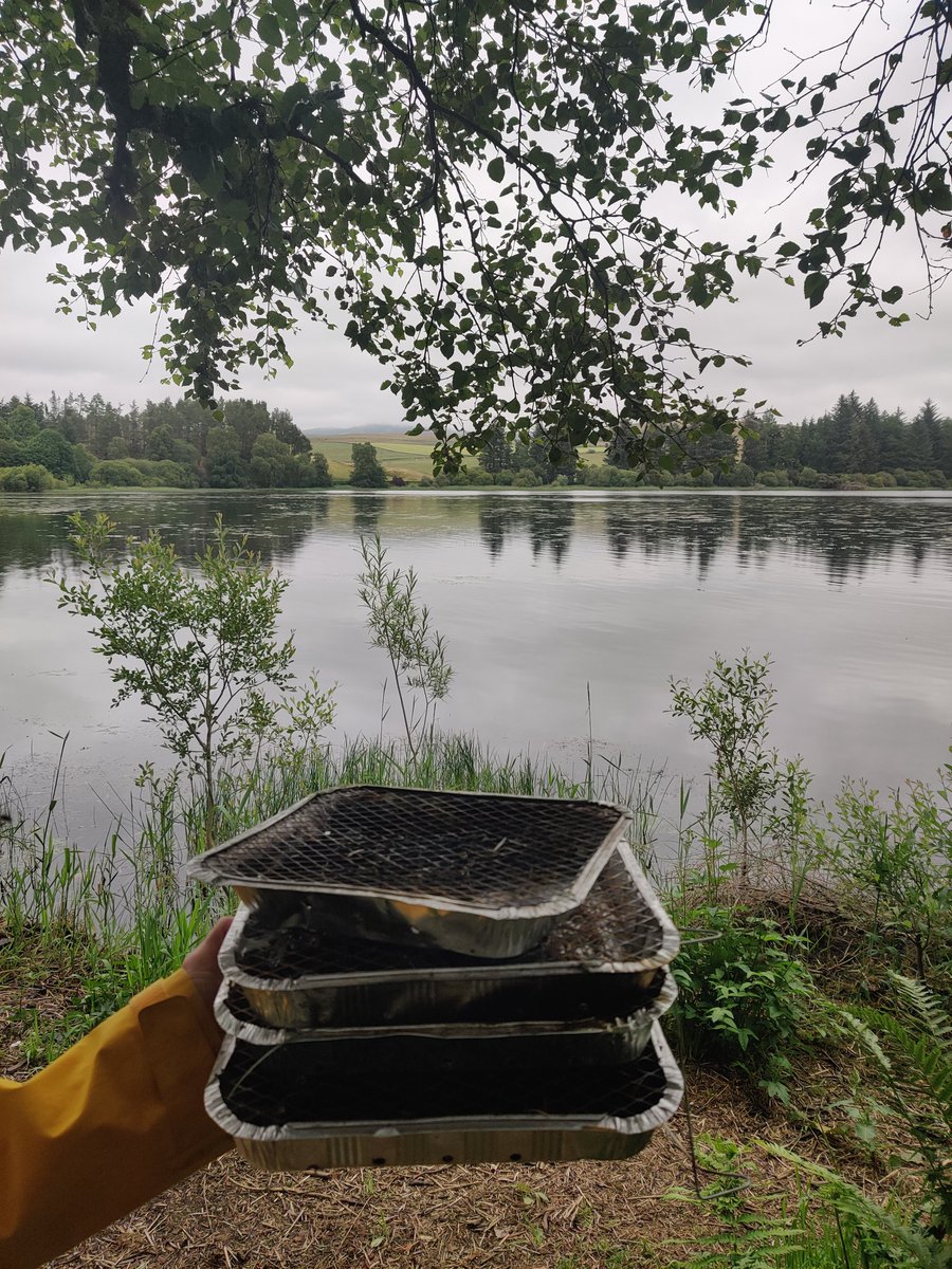 Brilliant @ScotWildlife Loch of Lintrathen reserve! Full of native trees and fabulous birdlife. Oh and a stack of used disposable BBQs stuffed under a fallen tree 🙃