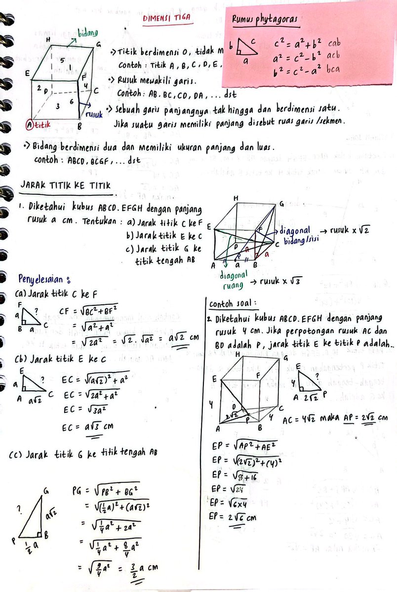 studywithshea tweet picture