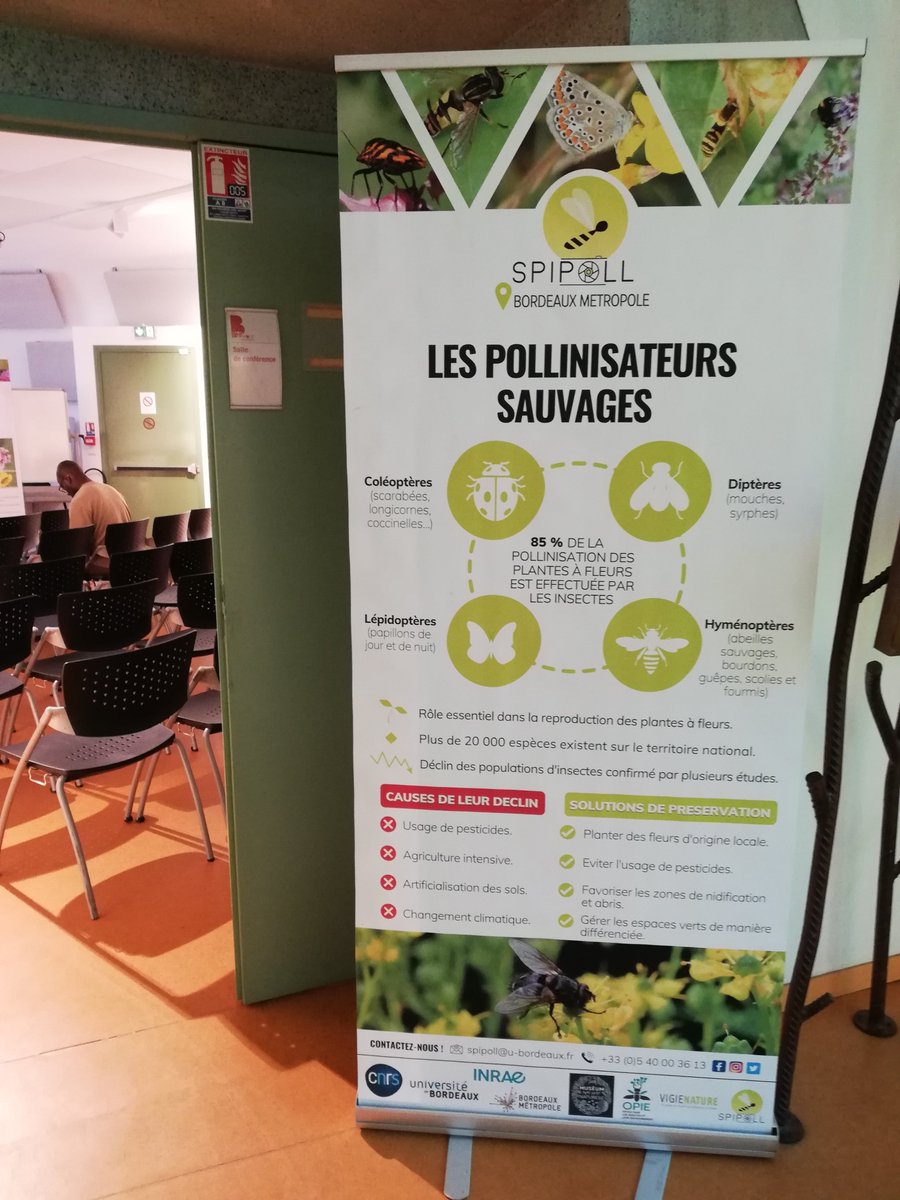 INRAE_NA_BDX's tweet photo. 👉Après 1 an de travail sur le terrain, le projet en sciences participatives #SPIPOLL en @NvelleAquitaine présente de premiers résultats sur le suivi des pollinisateurs🐝
👏 Bravo à l'équipe @INRAE_BIOGECO @univbordeaux @CNRSAquitaine
@INRAE_NA_BDX https://t.co/4KiHEZ8Mnf