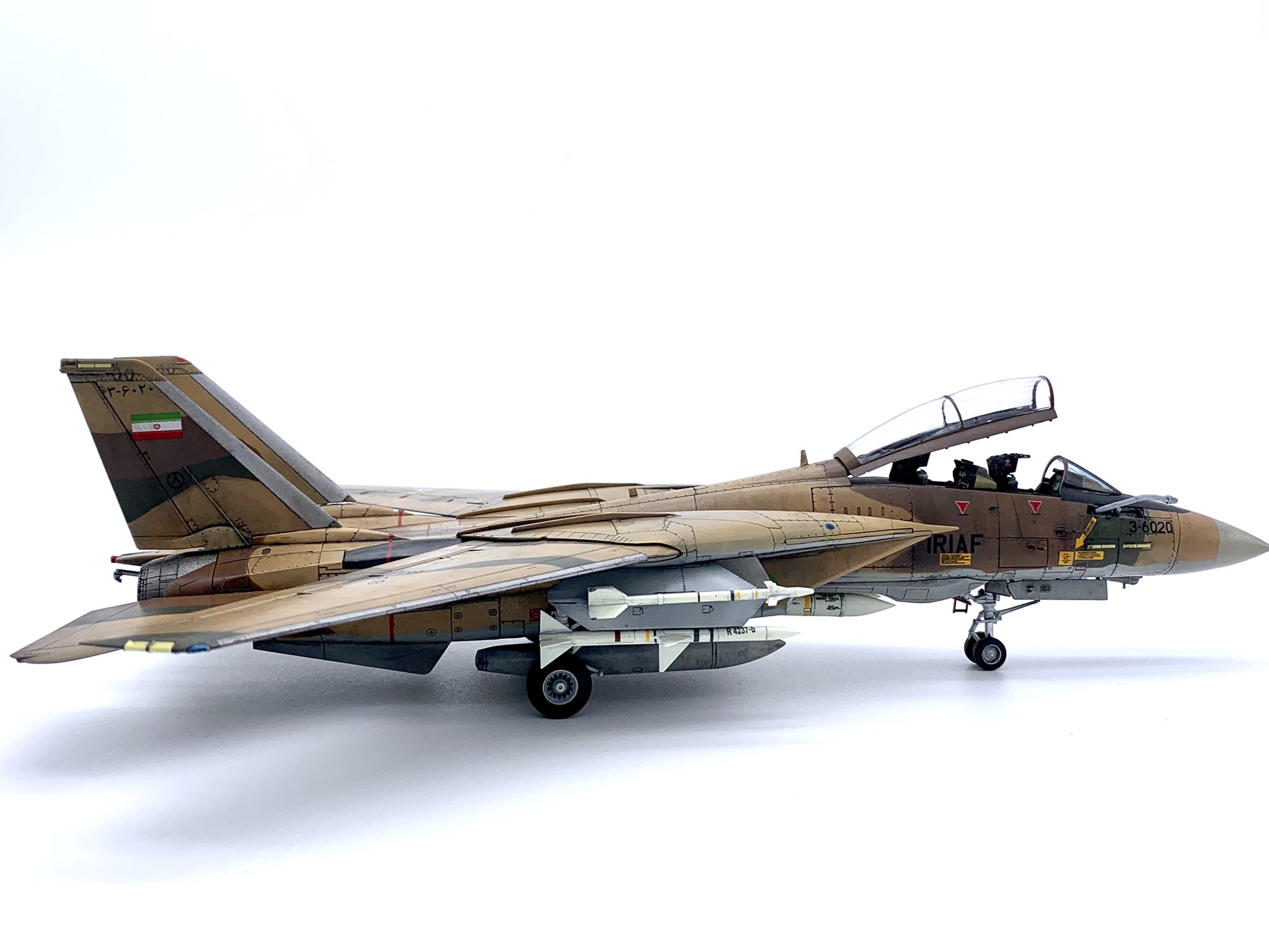 F-14A イラン空軍 第8戦術基地(ハタミ) 03年 #160339/#3-6041 暖め F-14A イラン空軍 第8戦術基地(ハタミ) 03年 #160339/#3-6041 暖め
