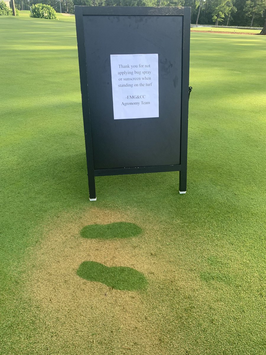 TDTurf's tweet image. The turf will likely bounce back, but when this is directly in front of the Golf Shop entrance you can’t pass up an educational opportunity