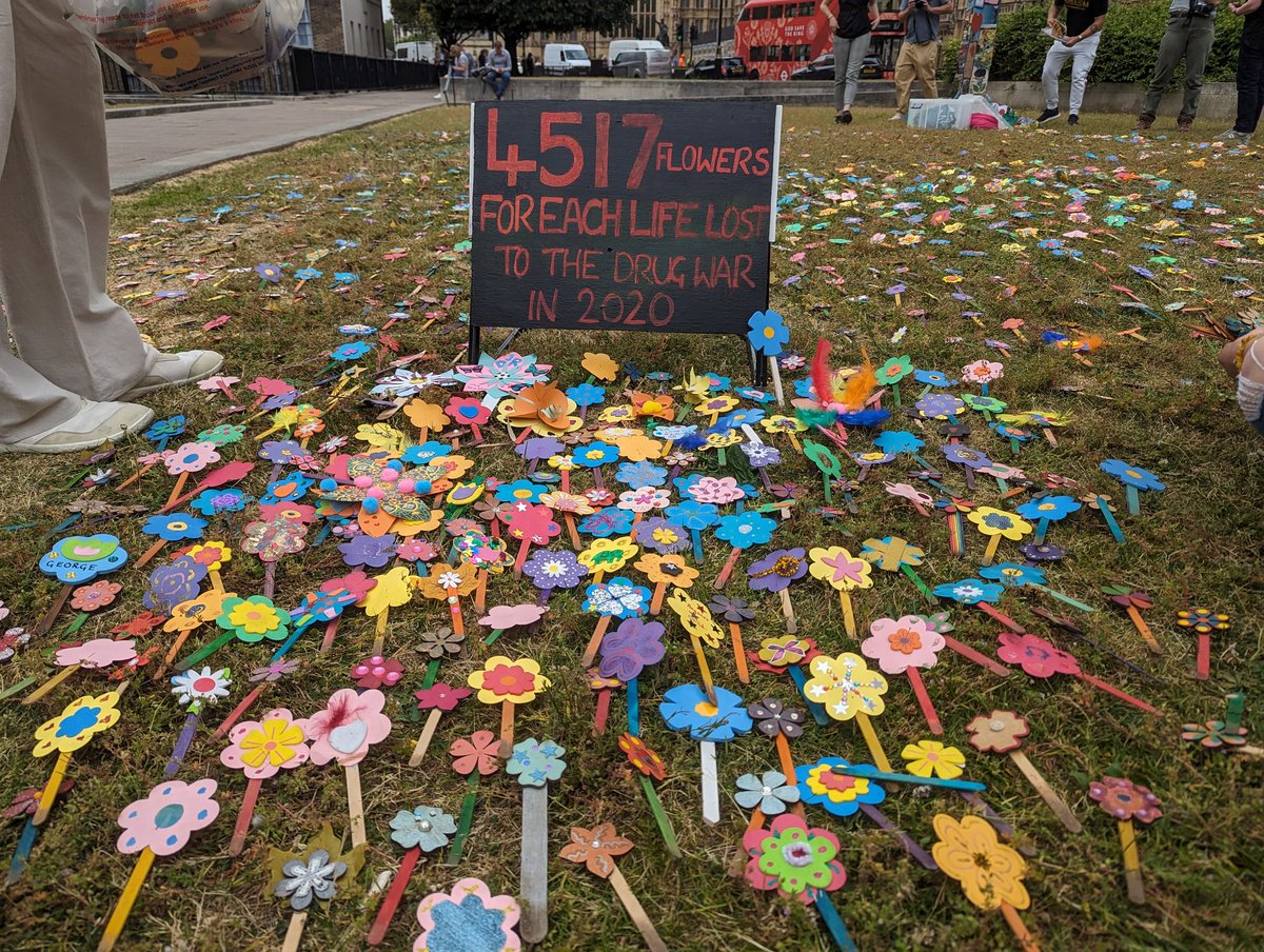 With the  @anyoneschild family doing the work at Parliament Square today. 

The flowers represent the 4517 love lost to the war on drugs in 2020.

@NigelBrunsdon
@randeezi_anthro @WeAreBarod @jfernandezochoa
#endthewarondrugs