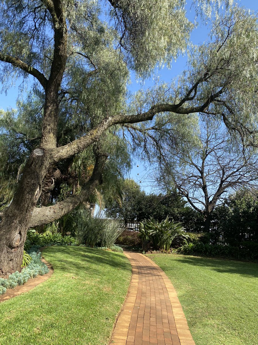 THENSAZA's tweet photo. @cutfsonline @MUTCampus @MUT_Alumni @DUT_Tweets @UPTuks @Univenofficial @UNIZULUongoye @WalterSisuluUni @dsigovza @DrAAWilliams @theNWU @noxthelion @StellenboschUni #Views 

#MastersProposal2023
#DSITHENSA
#PostGraduate https://t.co/hR0xDeJzpT
