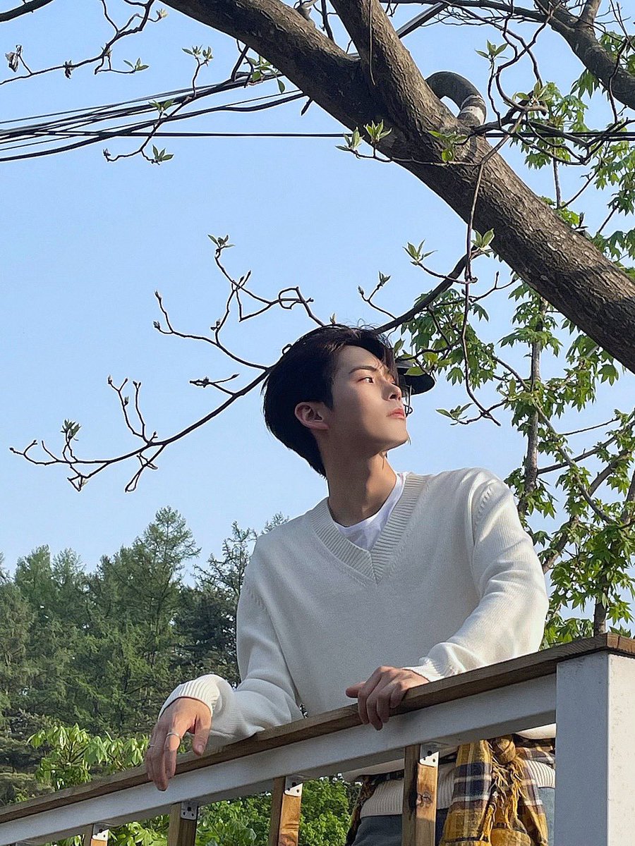 shbleader's tweet photo. angels :(( https://t.co/fbAr8i59kB