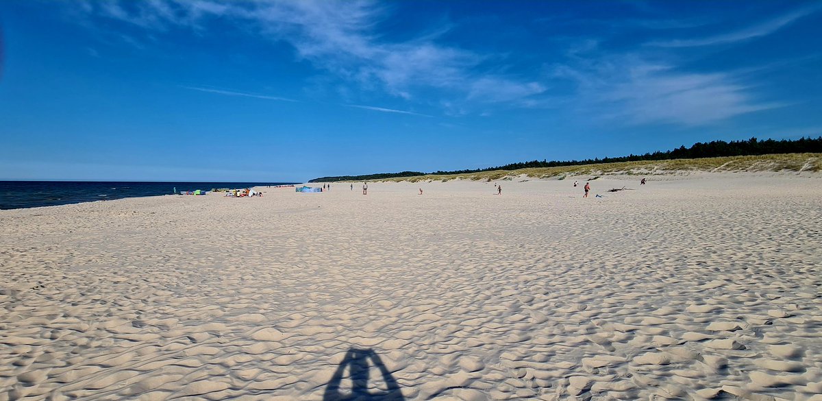 Juliusz Kornaszewski tweet media