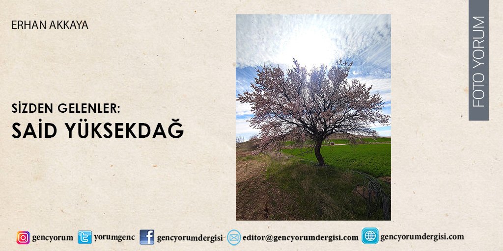 YorumGenc's tweet photo. Foto Yorum sayfamızda sizden gelen fotoğrafları yayınlamaya devam ediyoruz…
https://t.co/vWxFj6xtZL
Editör: Erhan Akkaya
#dergi #gencyorum #fotoyorumgencyorum #fotoğrafçı #fotoğraf https://t.co/pgOwVAzoEJ
