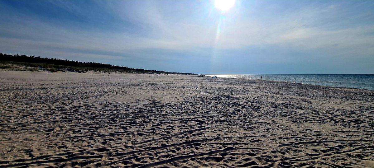 Juliusz Kornaszewski tweet media