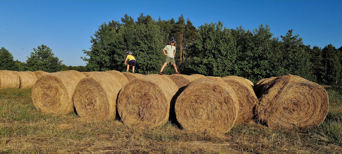 Juliusz Kornaszewski tweet media