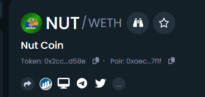 NutCoinERC's tweet photo. $NUT don't be a nut!

https://t.co/YKsKKzfGQ2

#NUT #memecoins #Ethereum #btc  #Cryptocurency #Dextools https://t.co/QSjyRrPYfe
